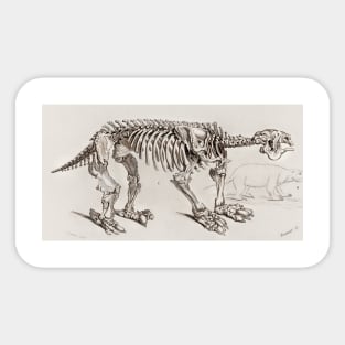 Animal Fossil Sticker